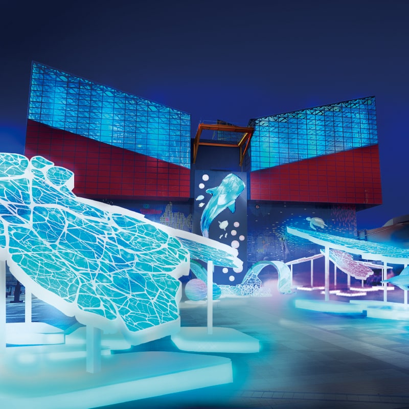 築港ベイエリアイルミネーション 画像