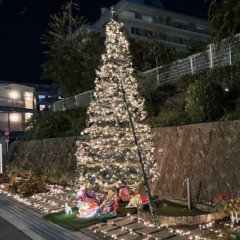 ロマチカイルミネーション2025 画像