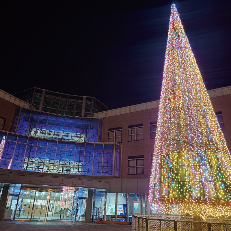 LICはびきのウインターイルミネーション 画像